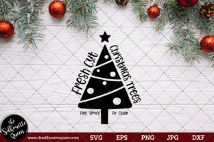 Fresh Cut Christmas Trees Pine Fir for Crafts